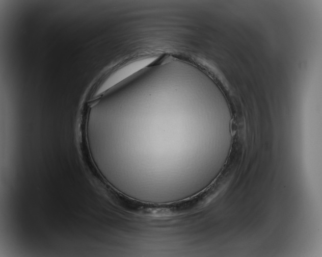 X0000087530395200705251704