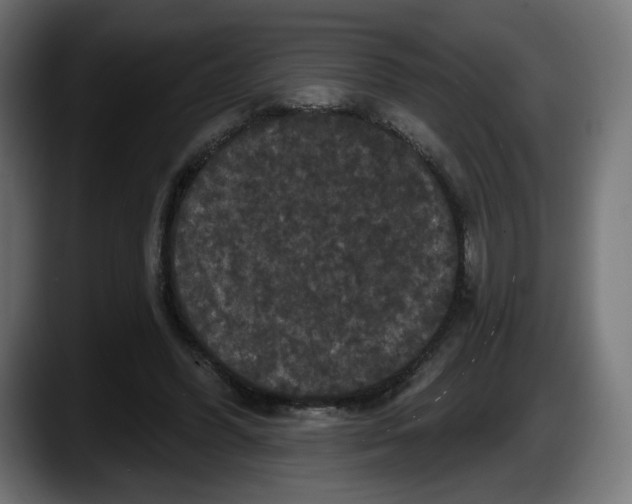 X0000087530396200705251704