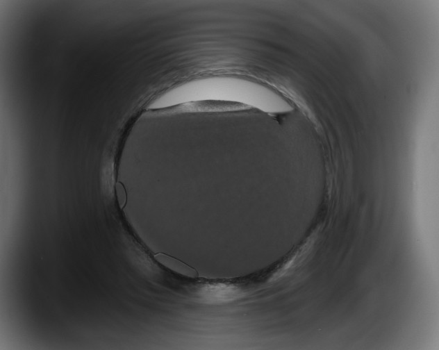 X0000087530397200705251704