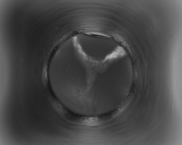 X0000087530398200705251704
