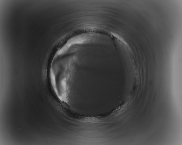 X0000087530399200705251704