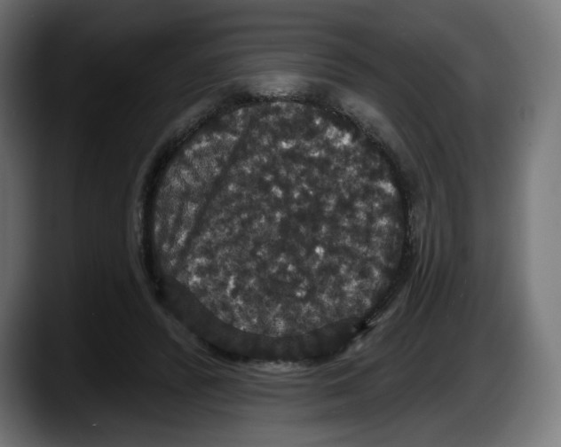 X0000087530400200705251704