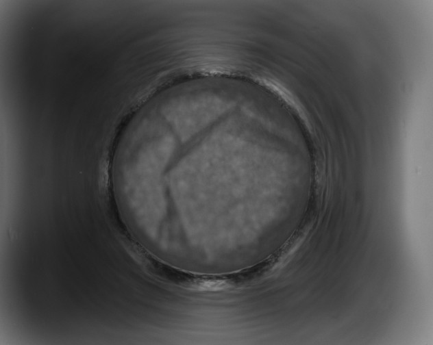 X0000087530401200705251704