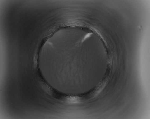 X0000087530402200705251704