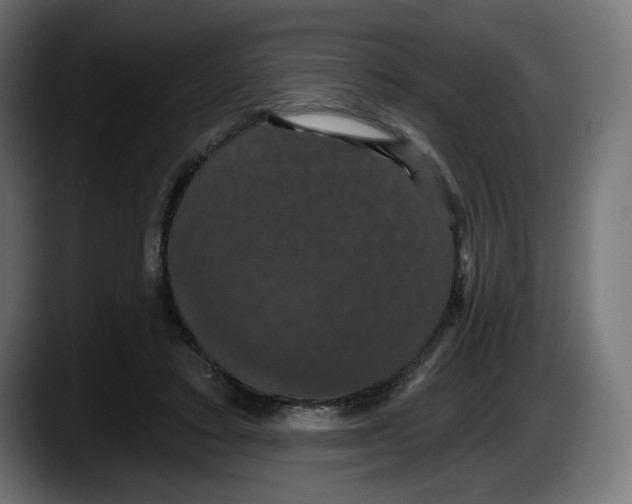 X0000087530403200705251704