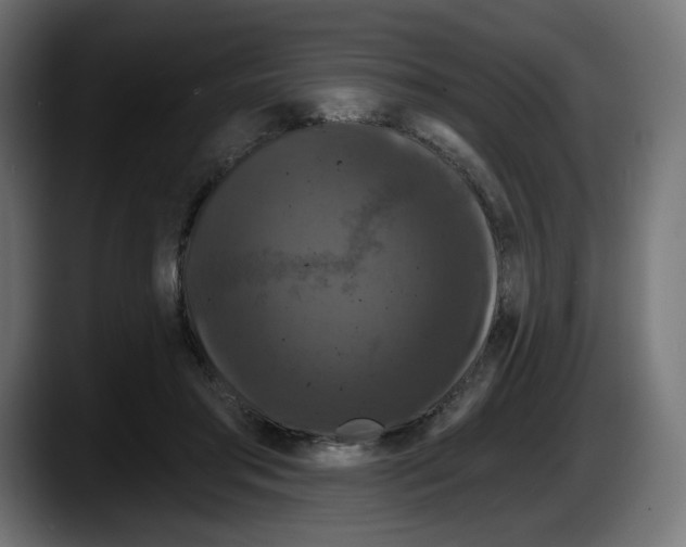 X0000087530405200705251704