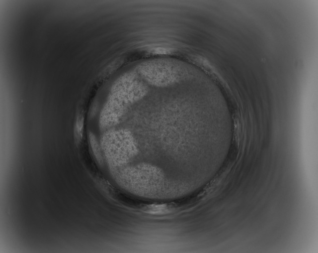 X0000087530406200705251704