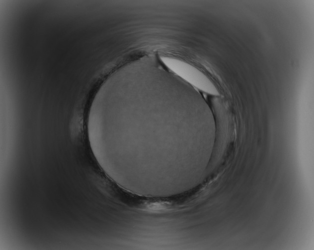 X0000087530407200705251704