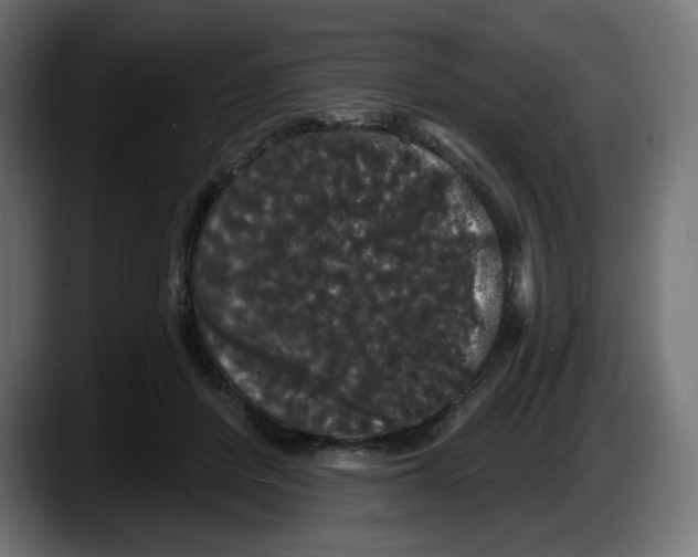 X0000087530408200705251704