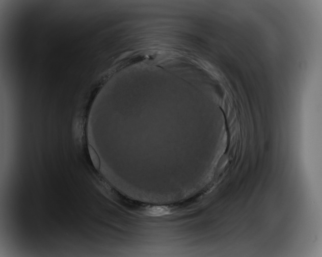 X0000087530409200705251704