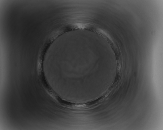 X0000087530410200705251704