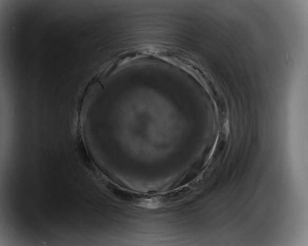 X0000087530411200705251704