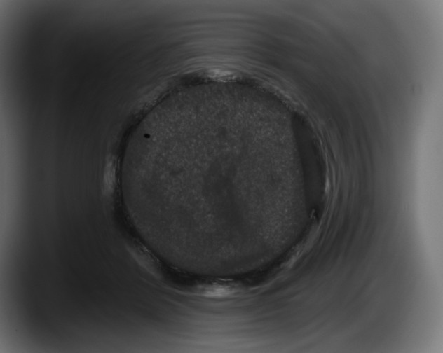 X0000087530412200705251704