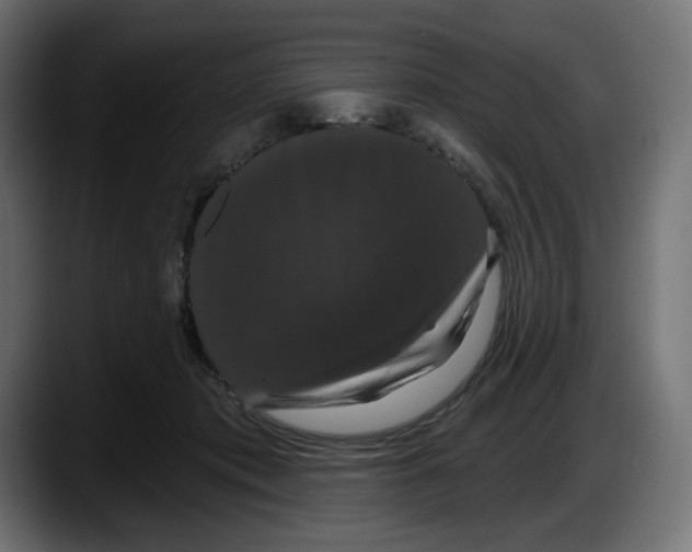 X0000087530413200705251703