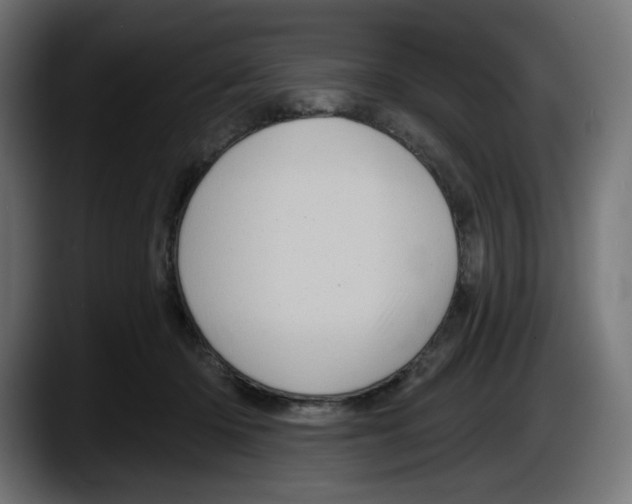 X0000087530414200705251703
