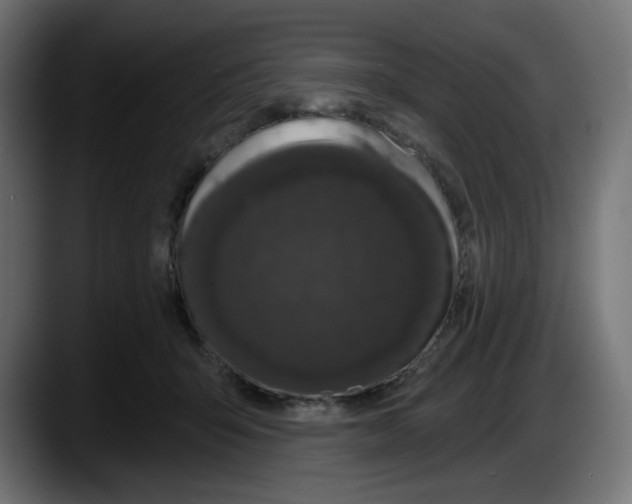X0000087530415200705251703