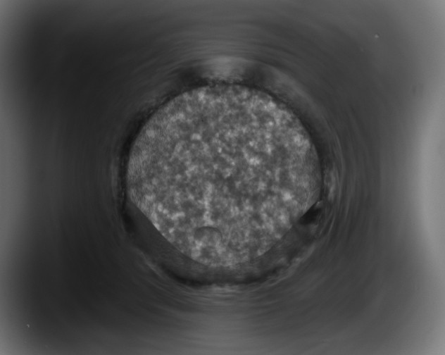 X0000087530416200705251703