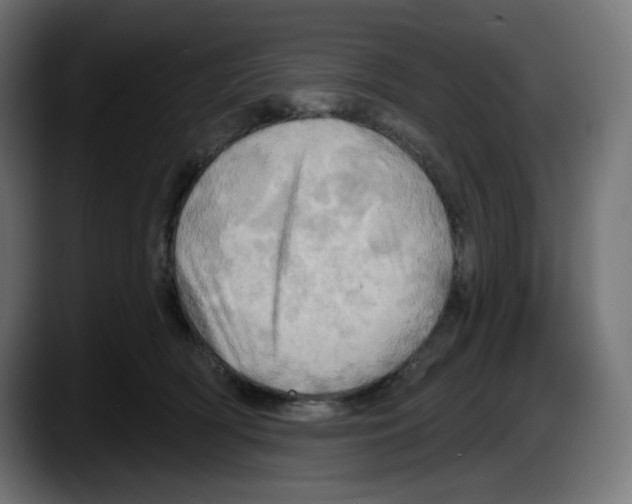 X0000087530418200705251703