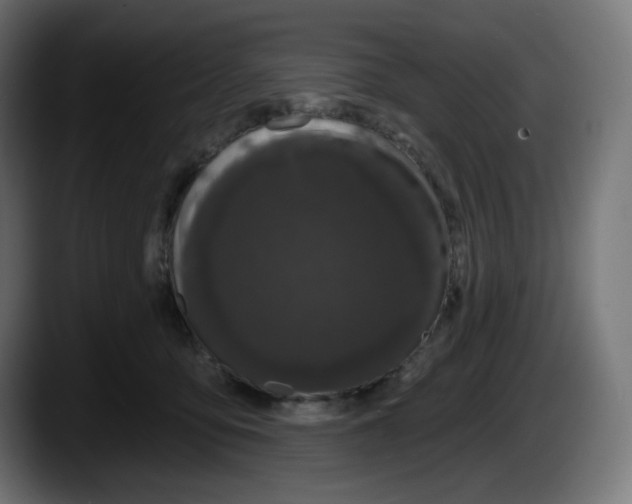 X0000087530419200705251703