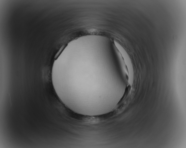 X0000087530421200705251703