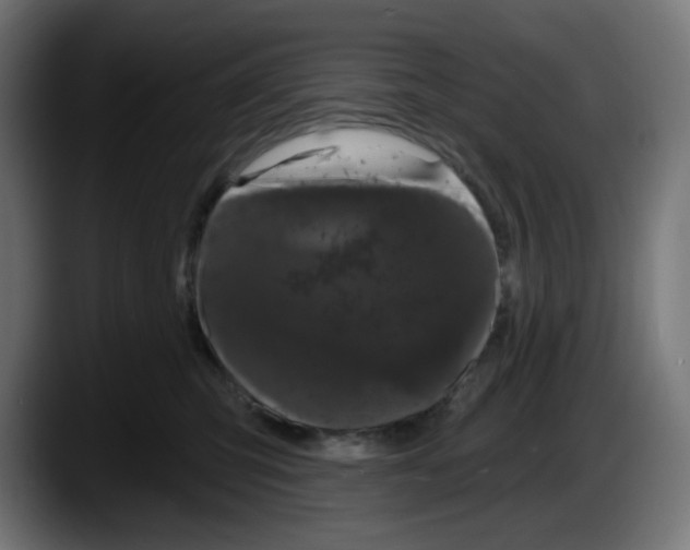 X0000087530423200705251703