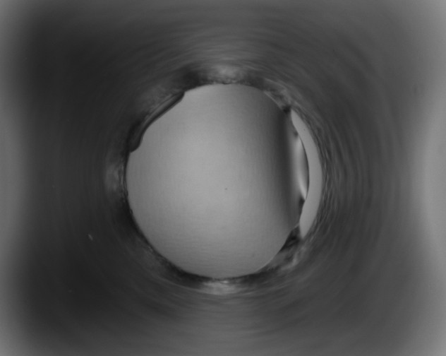 X0000087530425200705251703