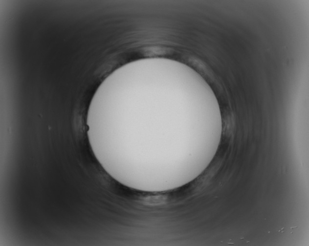 X0000087530426200705251703