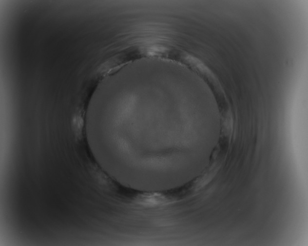 X0000087530427200705251703