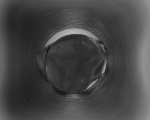 X0000087530428200705251703