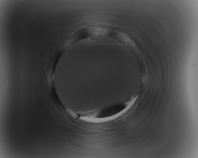 X0000087530429200705251703