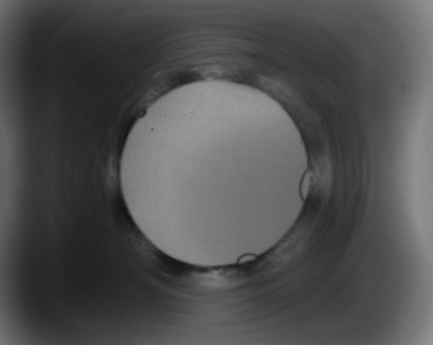X0000087530430200705251703