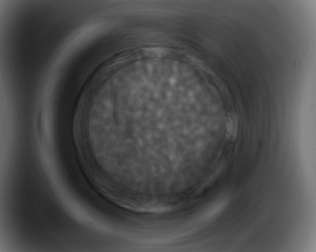 X0000087530431200705251703