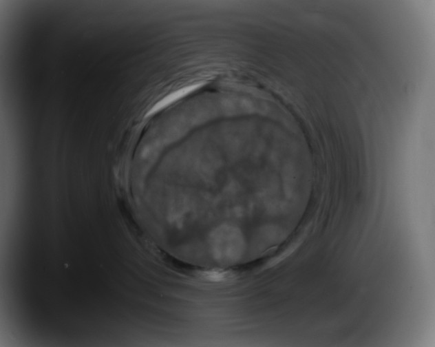 X0000087530432200705251703