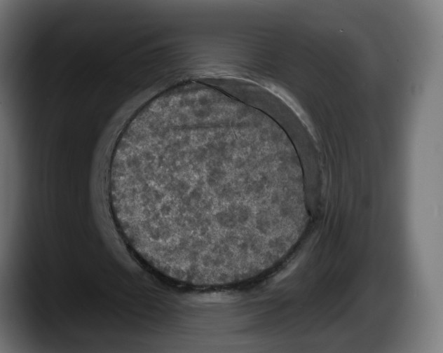 X0000087530433200705251703