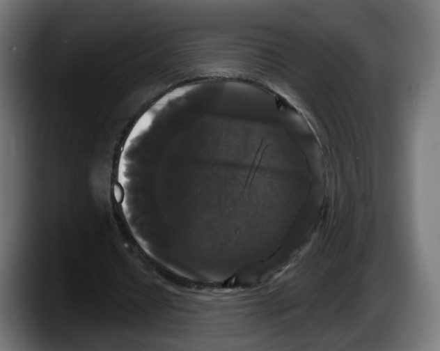 X0000087530434200705251703