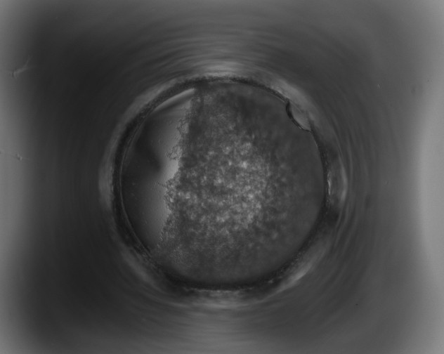 X0000087530436200705251703