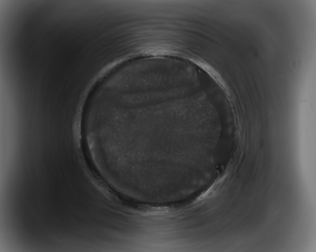 X0000087530438200705251703
