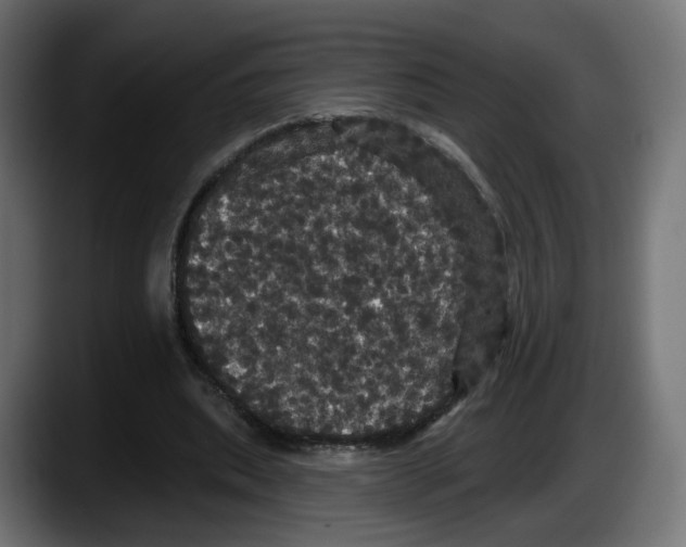 X0000087530439200705251703