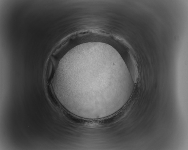 X0000087530440200705251703