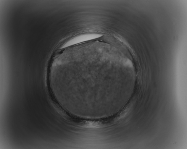 X0000087530442200705251703