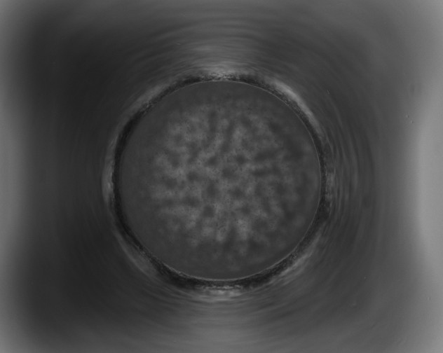 X0000087530443200705251703