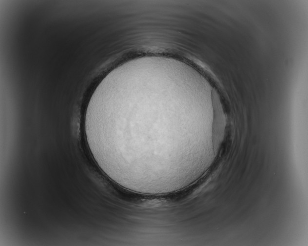 X0000087530446200705251703