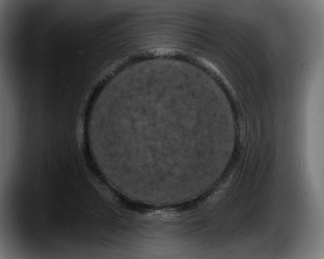 X0000087530447200705251703