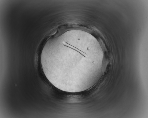 X0000087530448200705251703