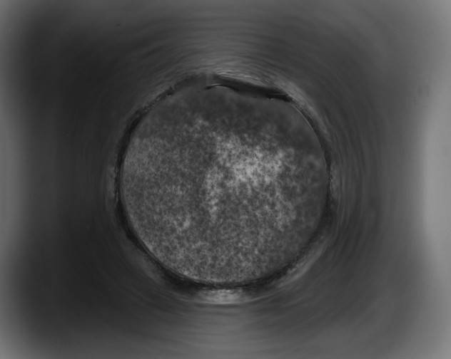 X0000087530449200705251703