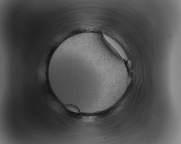 X0000087530450200705251703