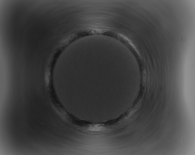 X0000087530451200705251703