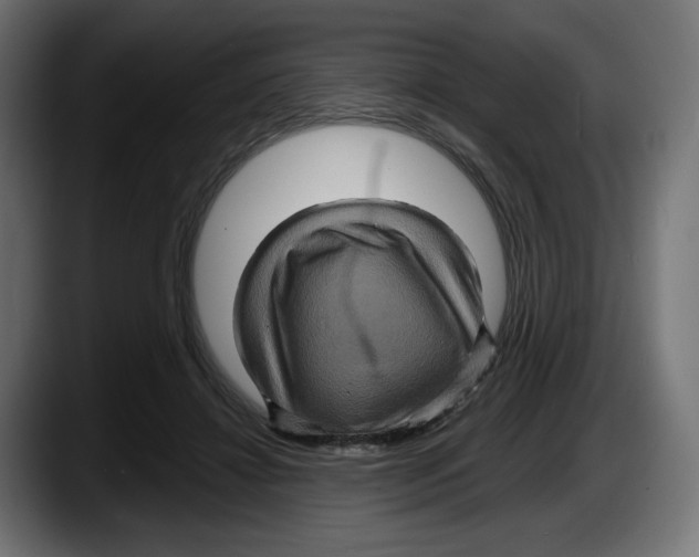 X0000087530452200705251703