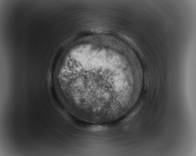 X0000087530453200705251703