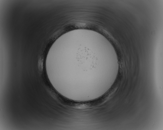 X0000087530454200705251703